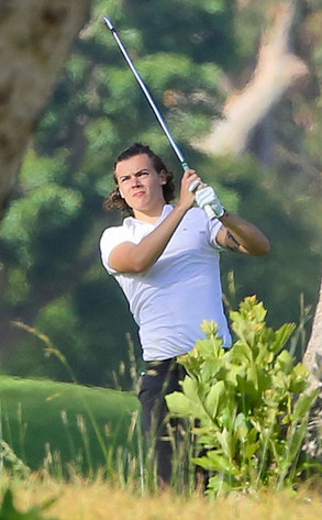 Harry Styles ***PAY $250 PER USE***